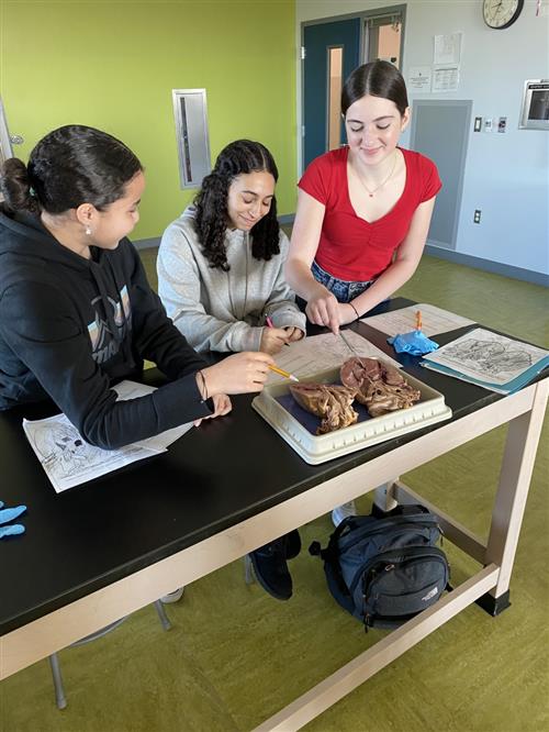 Biology Students