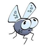 BUG 