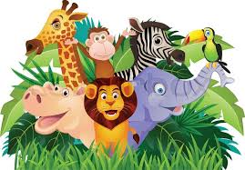 jungle 