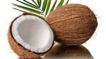 coconut 